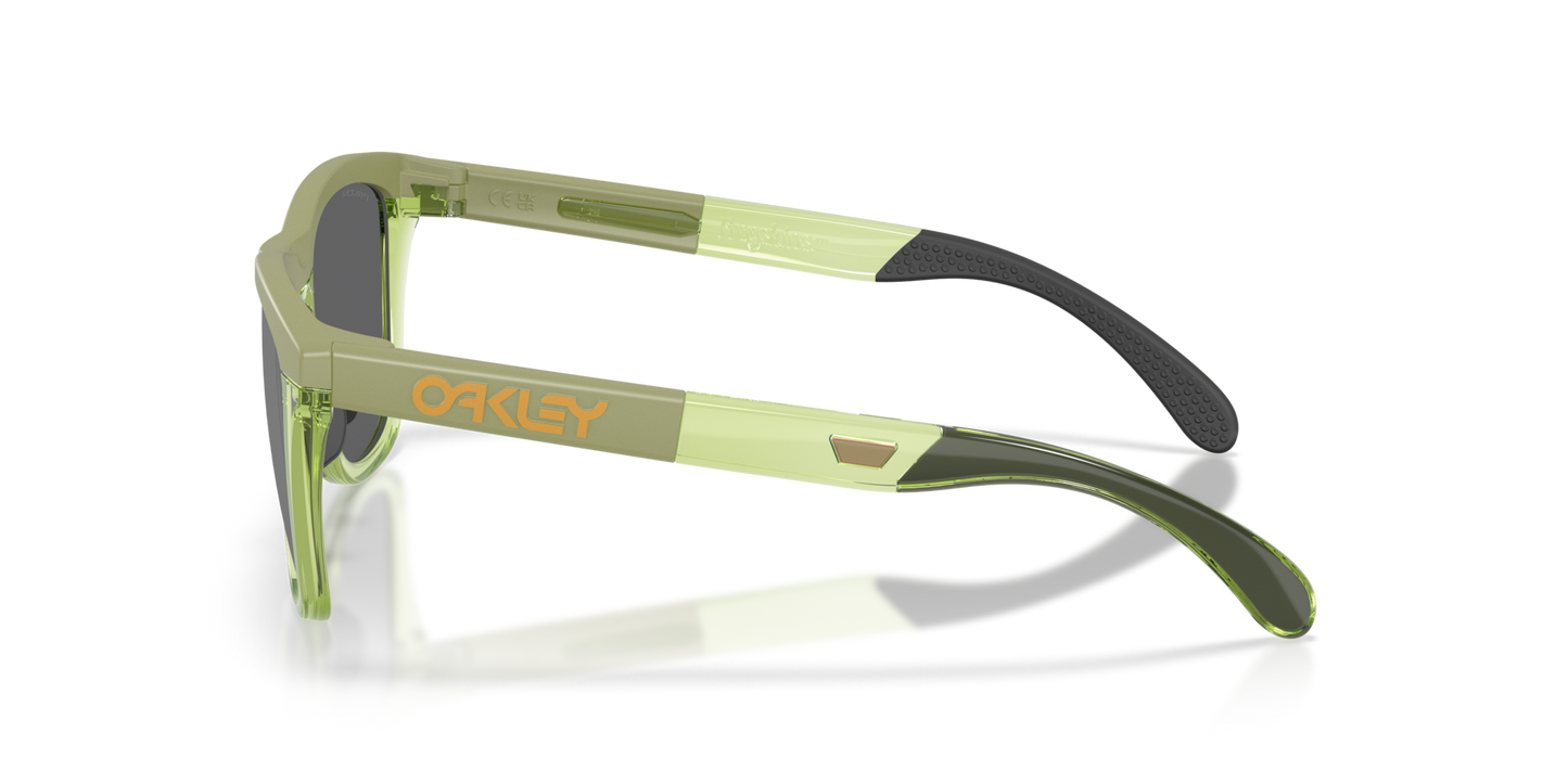 Oakley FROGSKINS RANGE XL 950307 Matt Fern/Transparent Fern