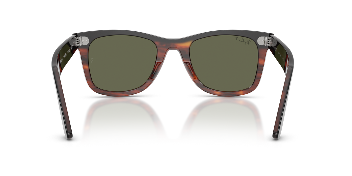 Ray-Ban 0RB2240 WAYFARER 144058 Black on Havana