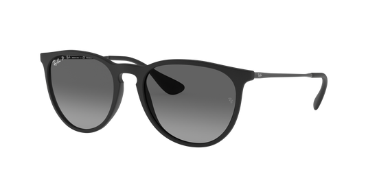 Ray-Ban 0RB4171 ERIKA 622/T3 Rubber Black