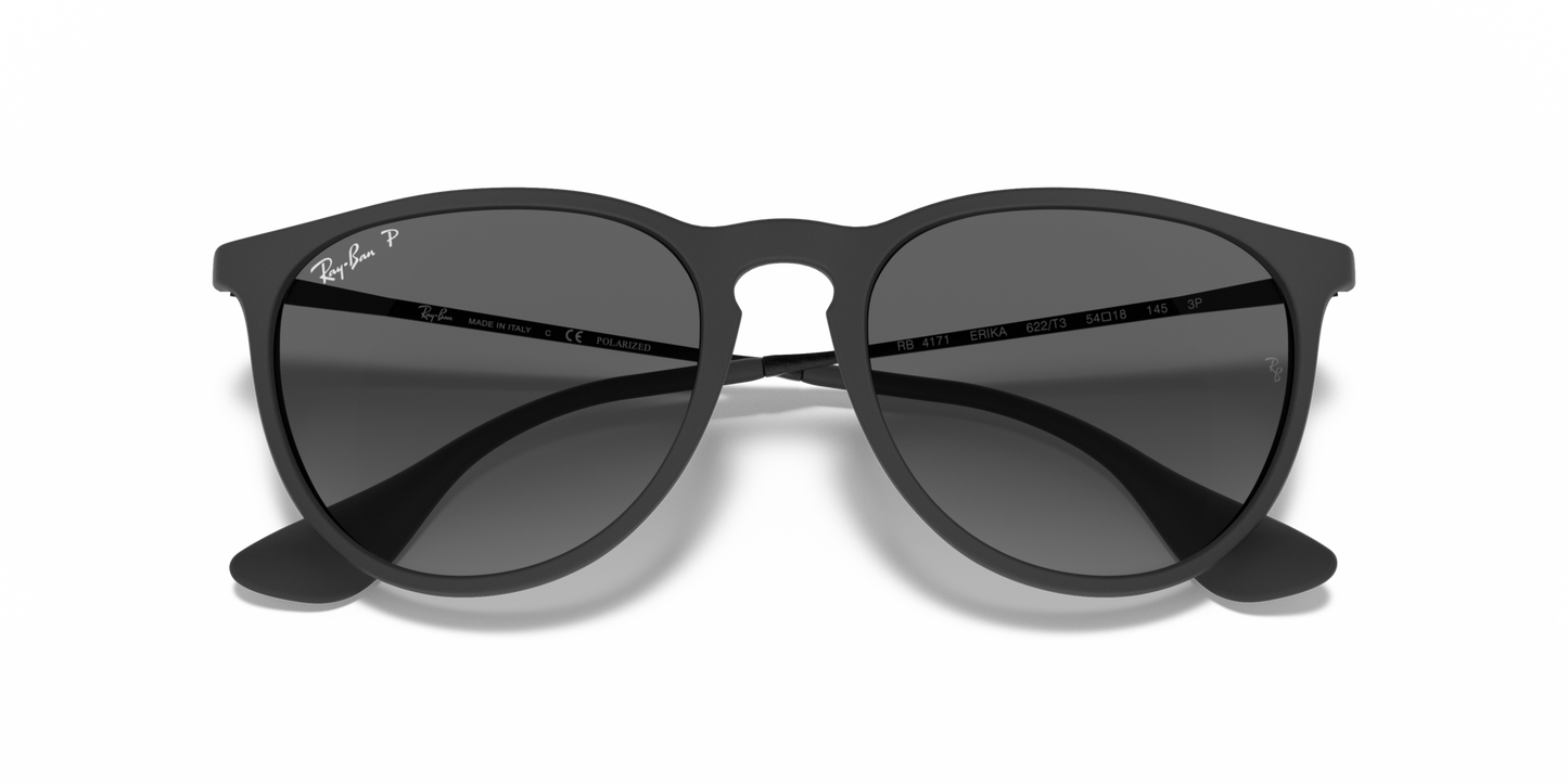 Ray-Ban 0RB4171 ERIKA 622/T3 Rubber Black