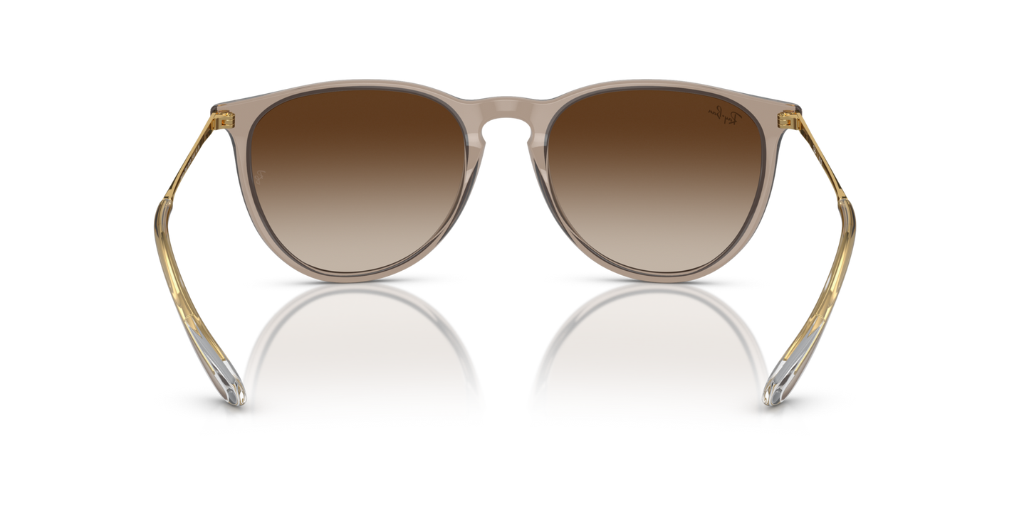 Ray-Ban 0RB4171 ERIKA 674413 Transparent Light Brown