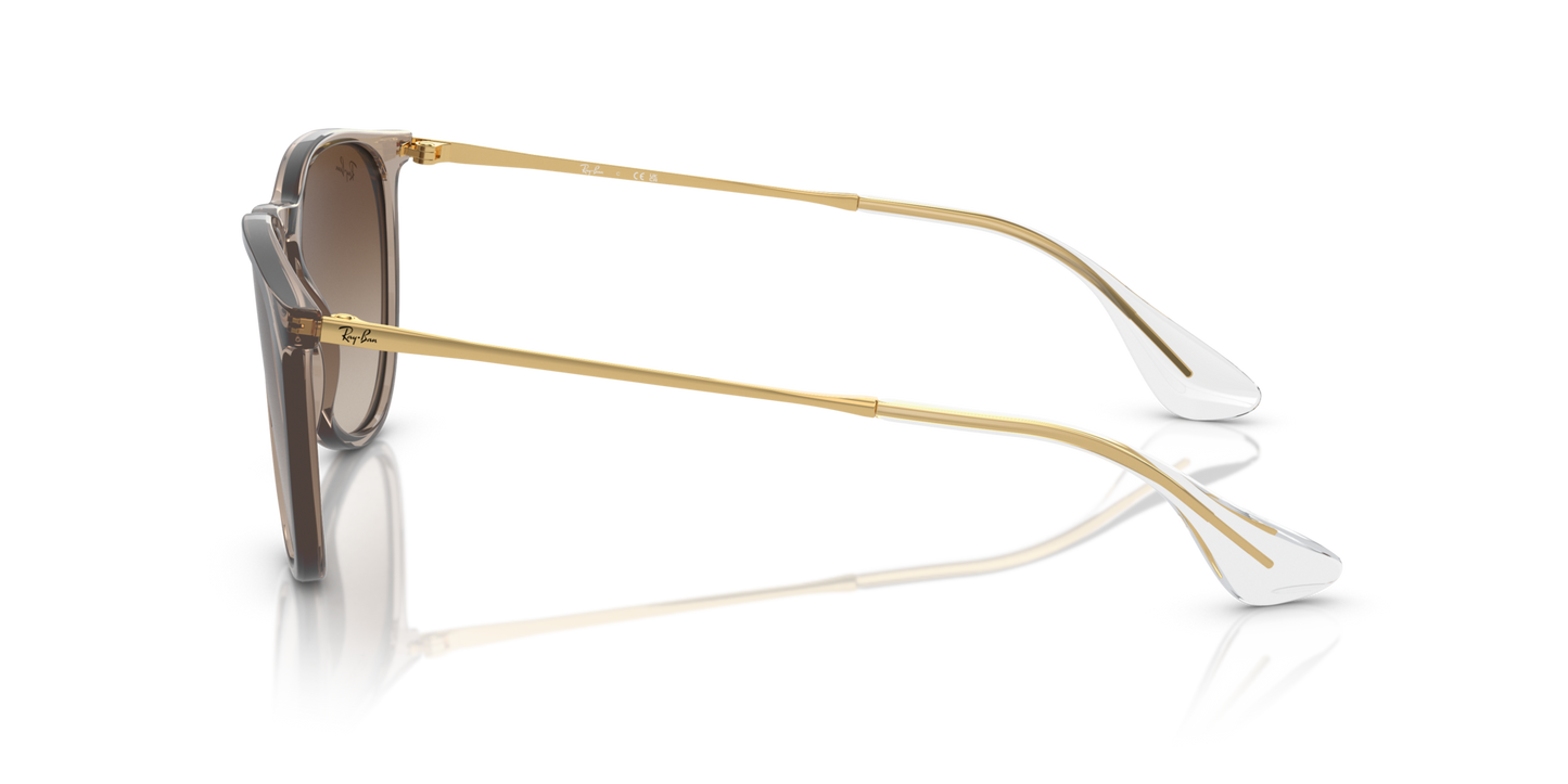 Ray-Ban 0RB4171 ERIKA 674413 Transparent Light Brown