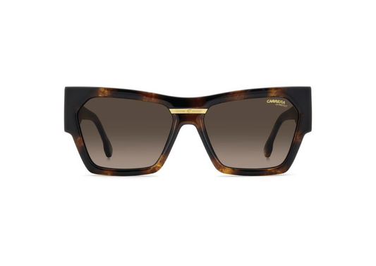 Carrera Victory C19/s