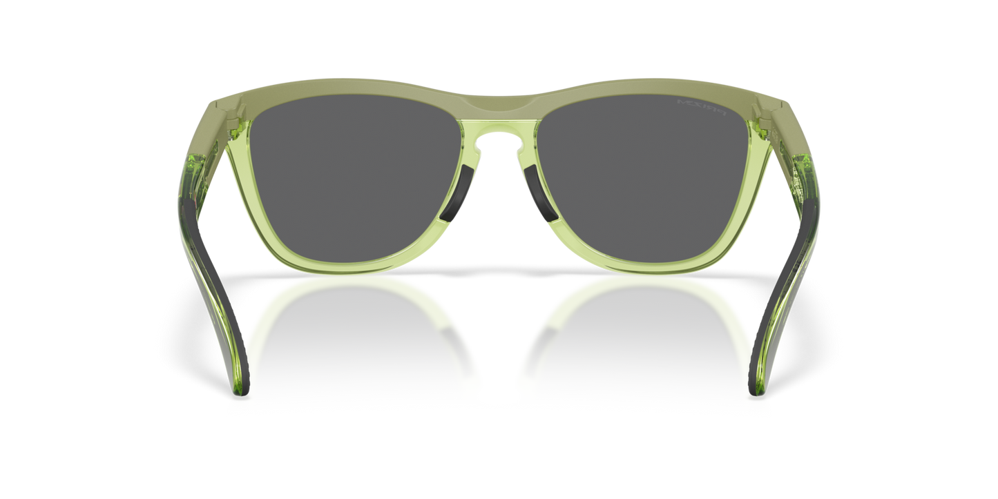 Oakley FROGSKINS RANGE XL 950307 Matt Fern/Transparent Fern