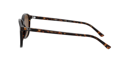 Ray-Ban 0RB2193 LEONARD 902/57 Tortoise