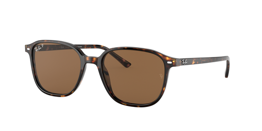 Ray-Ban 0RB2193 LEONARD 902/57 Tortoise
