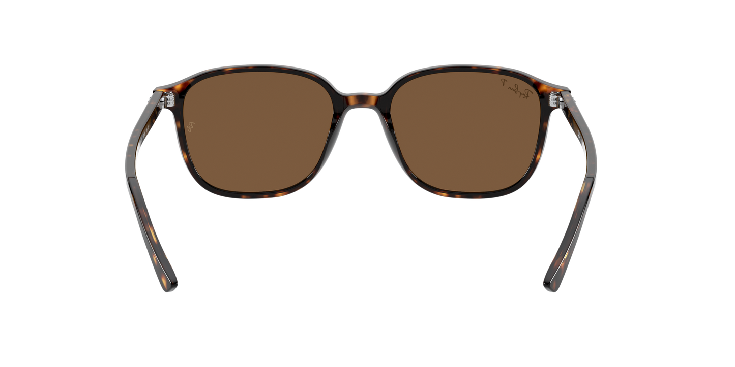 Ray-Ban 0RB2193 LEONARD 902/57 Tortoise