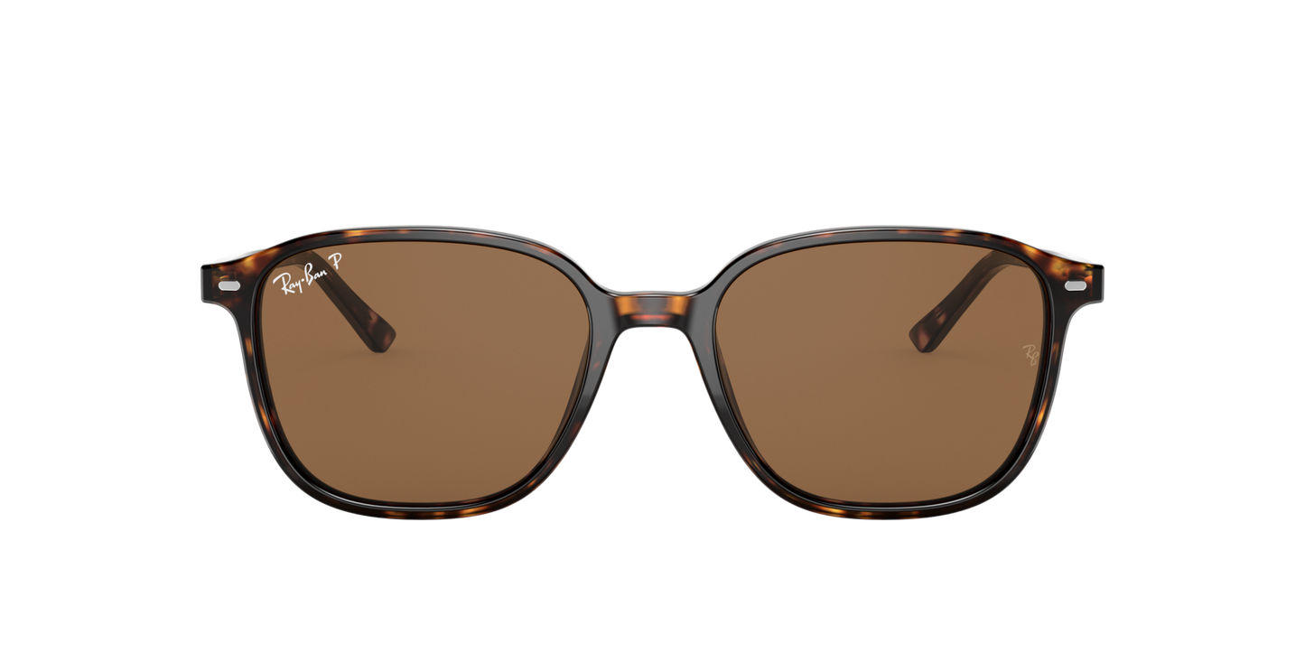 Ray-Ban 0RB2193 LEONARD 902/57 Tortoise