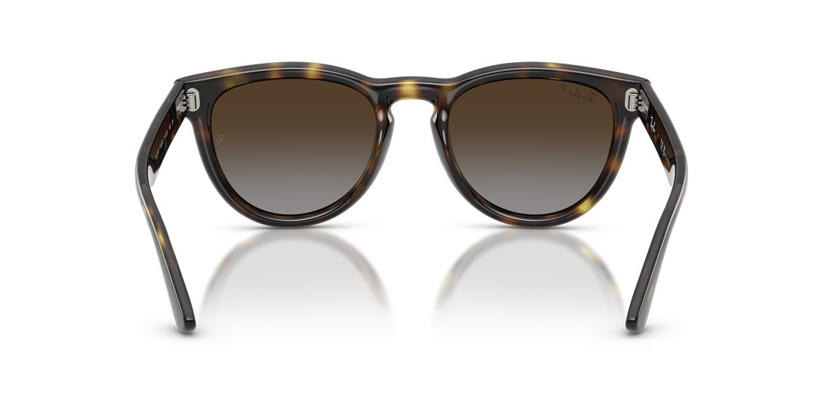 Ray-Ban RB2237 Polarised, Havana