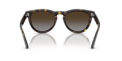 Ray-Ban RB2237 Polarised, Havana