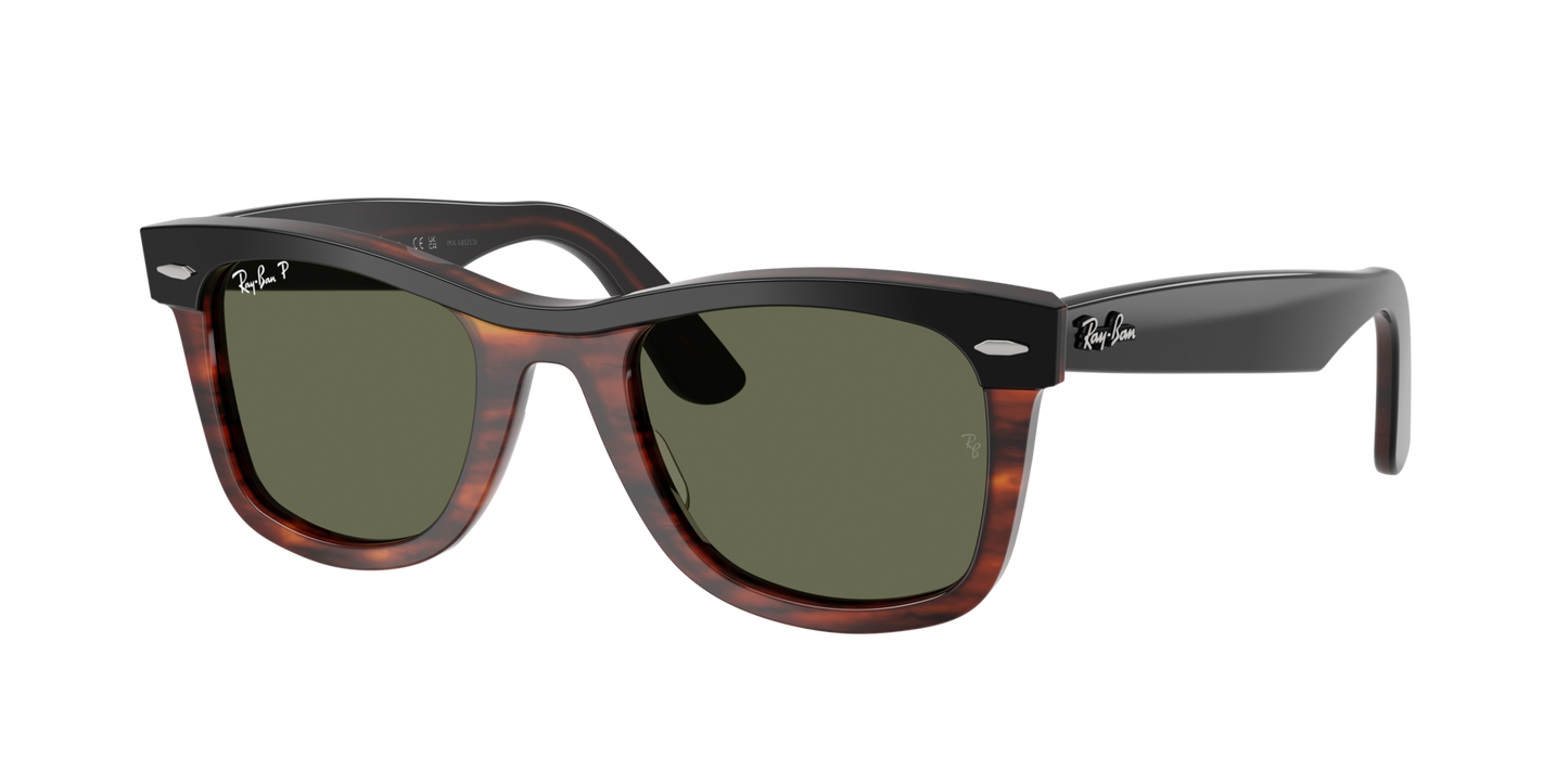 Ray-Ban 0RB2240 WAYFARER 144058 Black on Havana