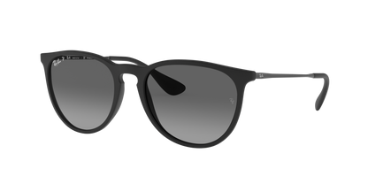 Ray-Ban 0RB4171 ERIKA 622/T3 Rubber Black
