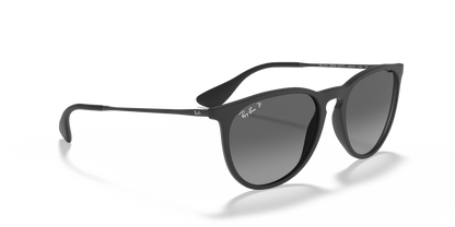 Ray-Ban 0RB4171 ERIKA 622/T3 Rubber Black
