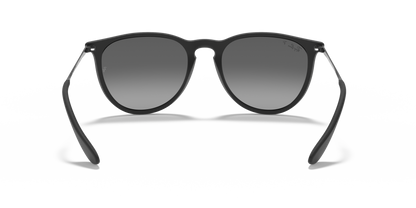 Ray-Ban 0RB4171 ERIKA 622/T3 Rubber Black