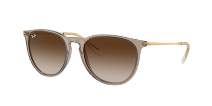 Ray-Ban 0RB4171 ERIKA 674413 Transparent Light Brown