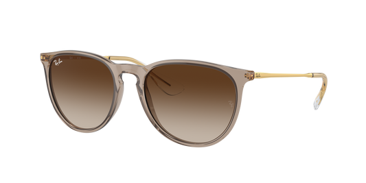 Ray-Ban 0RB4171 ERIKA 674413 Transparent Light Brown