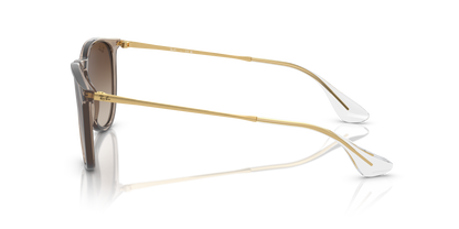 Ray-Ban 0RB4171 ERIKA 674413 Transparent Light Brown