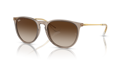 Ray-Ban 0RB4171 ERIKA 674413 Transparent Light Brown