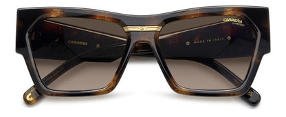 Carrera Victory C19/s