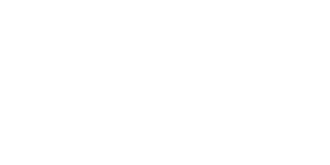 Bliz Logo